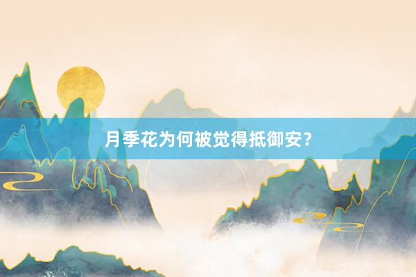 月季花为何被觉得抵御安？