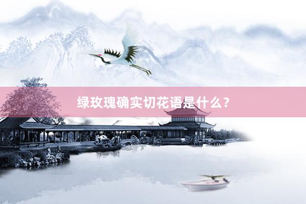 绿玫瑰确实切花语是什么？