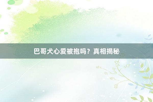 巴哥犬心爱被抱吗?真相揭秘